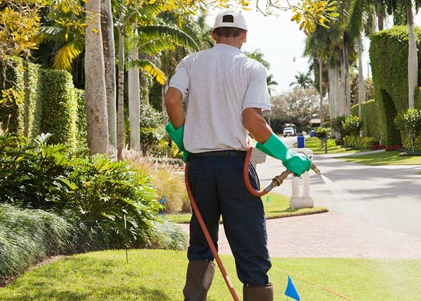 About Adel OR Pest Control Pros